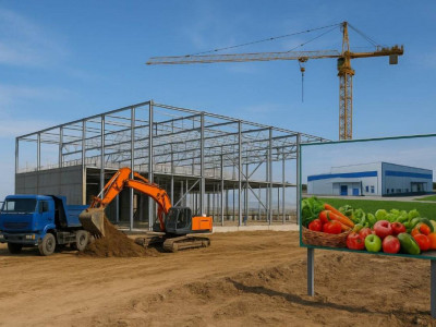 Алматы облысында жылына 70 мың тонна көкөніс пен жеміс өсірілетін зауыт салынады