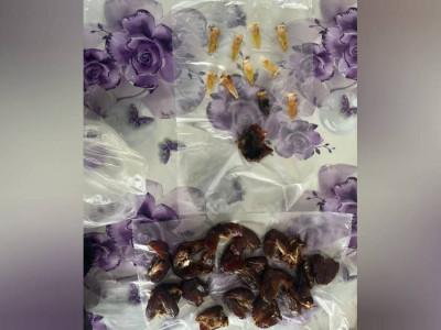 Құрма ішіне жасырынған: Павлодар облысында колонияға тыйым салынған зат өткізілмек болған