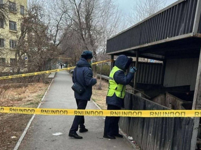 Түркістан облысында қоқыстан жаңа туған нәрестенің денесі табылды