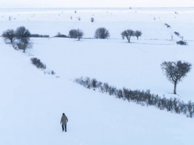 Павлодар облысында қырда малын іздеуге кеткен 2 тұрғын жоғалып кеткен