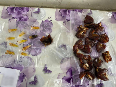 Павлодарда құрмаға есірткі жасырып, абақтыға алып кірмек болғандар ұсталды