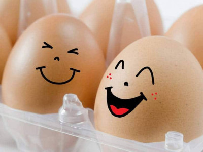 Қазақстан аумағына сырттан тауық жұмыртқаларын әкелуге тыйым салынды