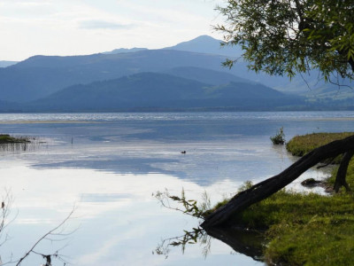 Шөп те өлең, шөңге де өлең, өңге де өлең...