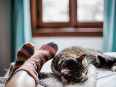 Күндіз көп ұйықтау тері ауруларына шалдығу қаупін арттыруы мүмкін