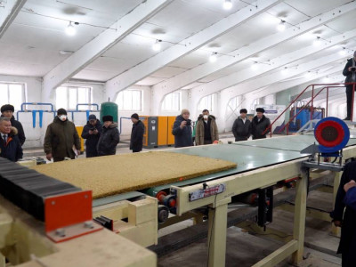 СҚО-да елде сабаннан экопанель шығаратын алғашқы тәжірибелік-өнеркәсіптік өндіріс іске қосылды