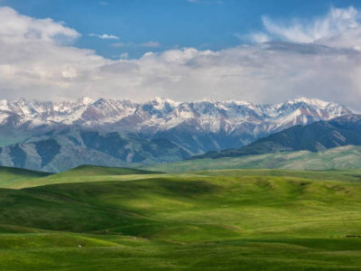 Павлодар облысында құны 100 млн теңгеден асатын жер учаскесі мемлекетке қайтарылды