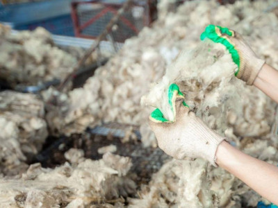 Ақтөбе облысында тоқыма емес материалдар және жүн өңдеу зауыты іске қосылды