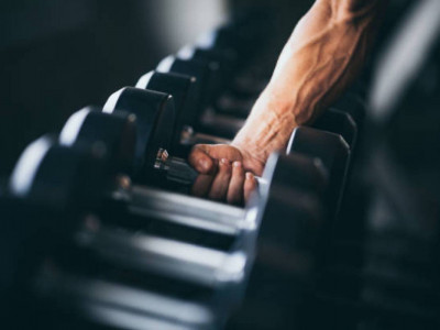 Адамның күш-қуаты қай жаста шарықтау шегіне жетеді?