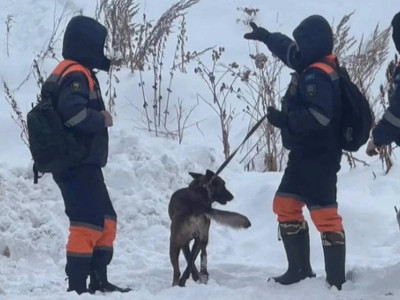 Алматы тауларында құтқарушылар жас қыздың мәйітін тапты