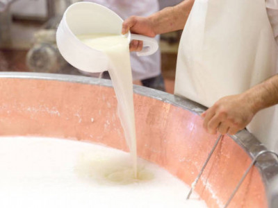 СҚО-да жылына 12 мың тонна қоюлатылған сүт өндіретін цех іске қосылды