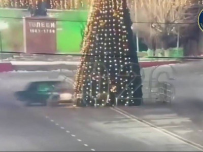 Түркістан облысында көлік жүргізушісі орталықта тұрған шыршаны құлатып тастады