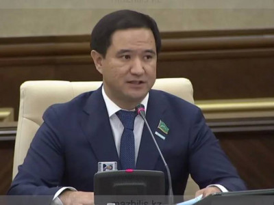 "Миллиардтар кетіп жатыр, нәтиже жоқ": депутат бизнесті қолдау жүйесінің тиімсіз екенін айтты