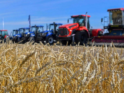 Ауыл шаруашылығы өнімдерінің жалпы көлемі 6,1 пайызға жетті – министр