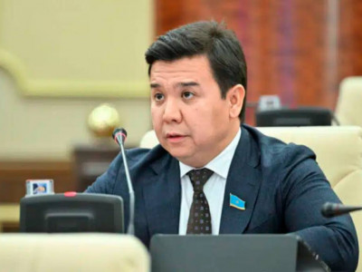 Бағаны тұрақтандырудың айқын, өлшенетін және ашық тетіктері болуы қажет – депутат