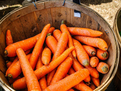 Қазақстан сәбізді экспорттауға тыйым салады