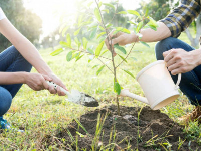 Президент: Тазалық ұлттық болмысымыздың ажырамас бөлігіне айналуы қажет