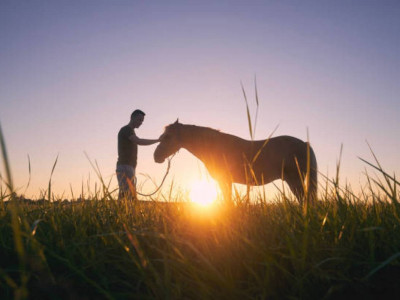 Шекарадан атпен 2 мың қорап темекі тасыған шетел азаматы ұсталды