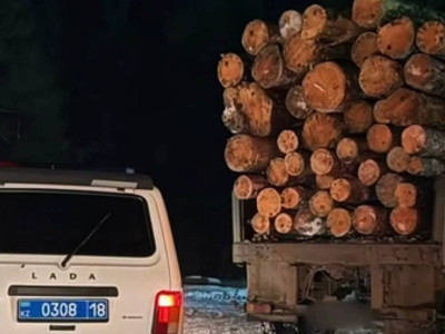 Жүргізуші куәлігінсіз жүк көлігін тізгіндеген азамат ұсталды