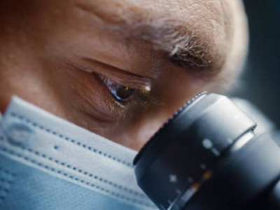 2025 жылғы ғылымдағы 10 басты жетістік