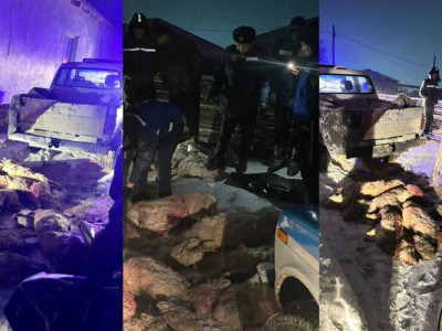 Маңғыстау облысында заңсыз киік тасымалдаған күдікті ұсталды