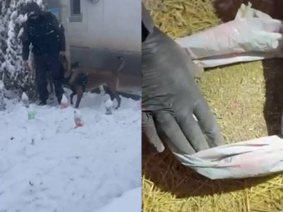 Алматыда ірі көлемдегі есірткі сату арнасы анықталды