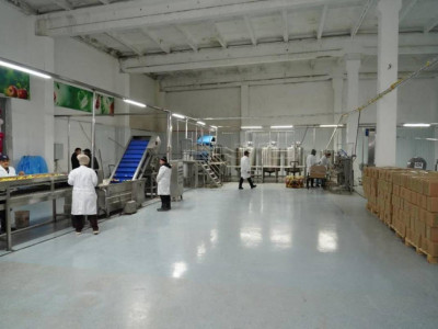 Түркістан облысында жеміс-жидектерді терең өңдейтін зауыт іске қосылды