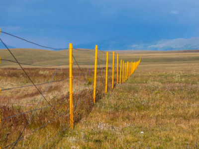 Өткен жылы шекара заңнамасын бұзған 52 мың адам жауапқа тартылды