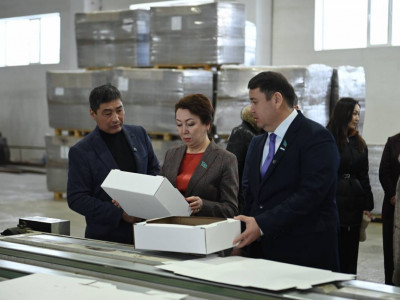 Депутаттар Ақтөбеде өнеркәсіпті дамыту және жаңа жұмыс орындарын құру мәселелерін талқылады