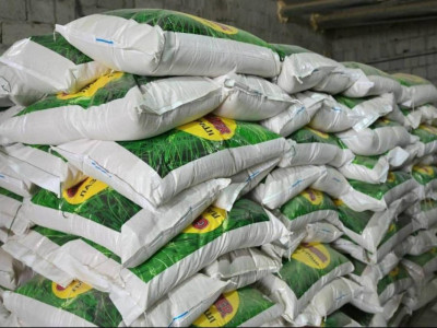 Түркістан облысында күріш өңдеу цехы іске қосылды