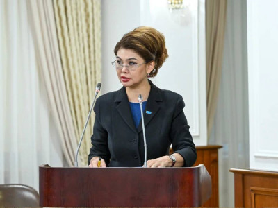 Аида Балаева Көші-қон саясаты тұжырымдамасының негізгі ережелерін түсіндірді