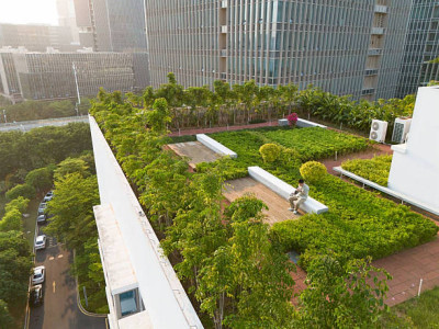 Жетісуда жеке тұлғаға заңсыз сатылған саябақ жері қайтарылды