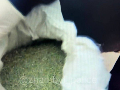 Жамбыл облысында ер адамнан 43 келі марихуана тәркіленді