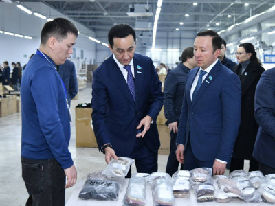 Мәжіліс депутаттары Шымкенттегі тоқыма кәсіпорнын аралады