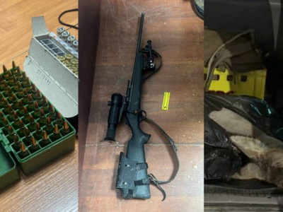 Елік пен түлкіні заңсыз атып алған Түркістан тұрғыны ұсталды