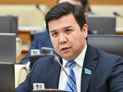 Ойластырылмаған шешімдер отандық фермерлердің шетелдік нарықтағы орнын әлсіретеді – депутат