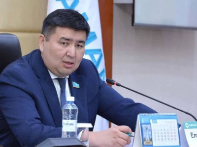 Кассалық түсімнің 50%-ын алып отырған кинотеатрларды тексеру керек – Елнұр Бейсенбаев