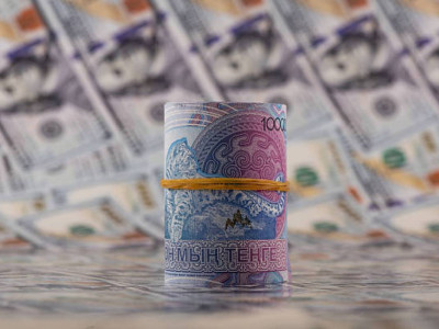 Ақмола облысында 295 млн теңге грант ақшасы тиімсіз пайдаланылған