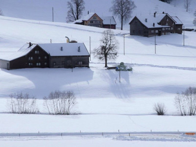 Петропавлда зейнеткер үсік шалып көз жұмды