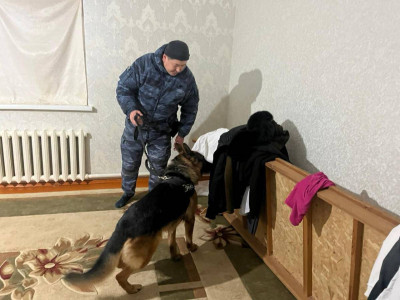 Қызылордада бір жылда 2 тоннаға жуық есірткі тәркіленді