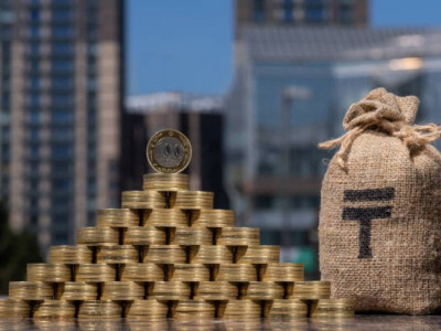 6,5 млрд теңге: Қаржы пирамидасын басқарған келіншек Грузиядан экстрадицияланды