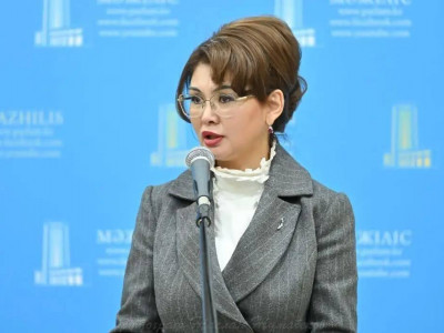 Білім мен медицинадағы қаржыландыру жүйесі әділ әрі ашық болуға тиіс – Аида Балаева