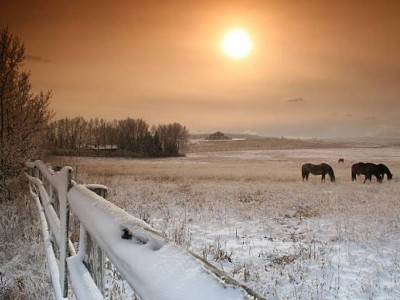 Қарағандыда мал іздеуге шыққандар жоғалып кетті