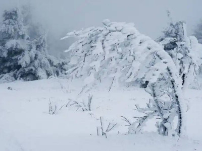 Қазақстанның бірнеше өңірінде -40°С-қа дейін аяз және боран күтіледі