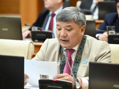 Президент Ұлттық құрылтайда қоғамды алға бастайтын басты құндылықтарды айқындады – депутат