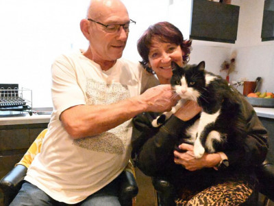 Испанияда жоғалып кеткен мысық Франциядағы үйіне өз бетімен оралған