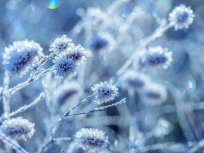 Демалыс күндері қар жауып, боран соғады