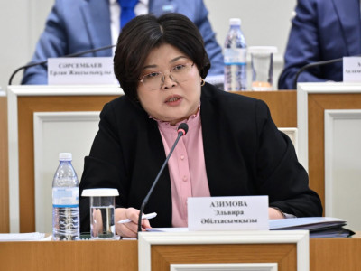 Эльвира Азимова: Конституциялық реформа қоғамның барлық саласында кең талқылауға ие болды