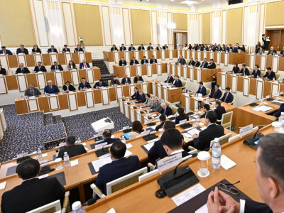 Құрылтай депутаттарына қойылатын қосымша талаптар консультациялық заңда айқындалуы мүмкін — Қарин