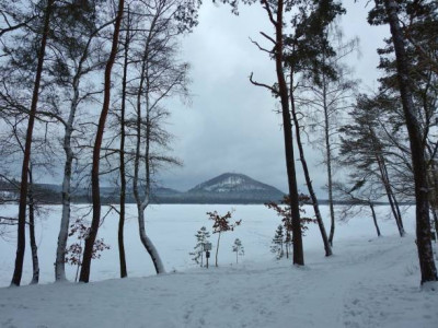 «Көкшетау» ұлттық саябағында елік атқан браконьерлер сотталды