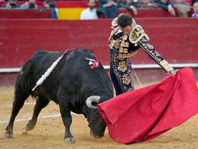 Испанияда балалардың корридаға баруына тыйым салынуы мүмкін